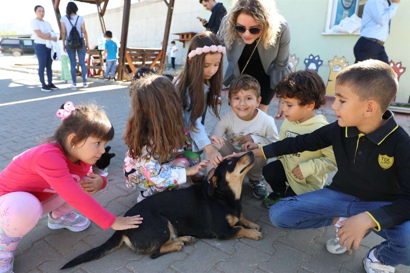 Muğla'da 3 bin 779 sahipsiz hayvan yeni yuvasına kavuştu haberi
