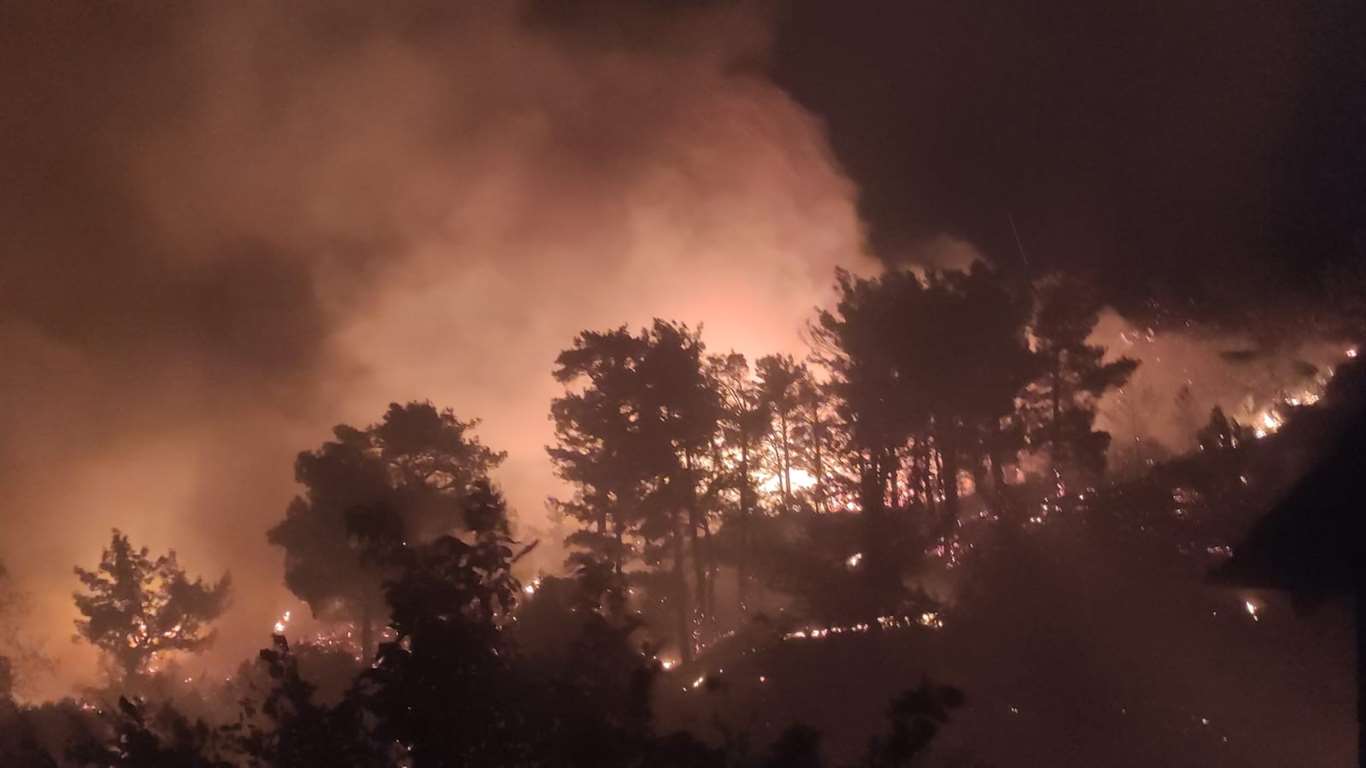 Muğla'da ikinci orman yangını haberi