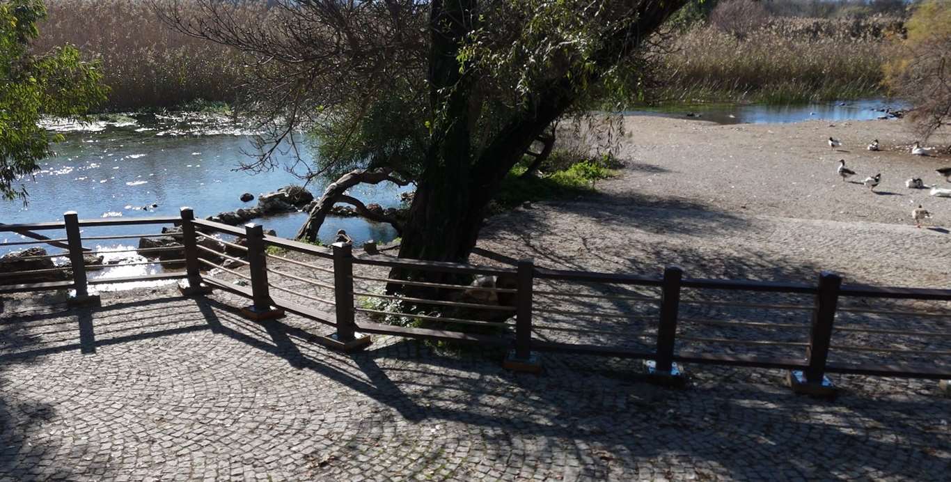 Kadın Azmağı'nın korunması için 240 metrelik korkuluk tamamlandı haberi