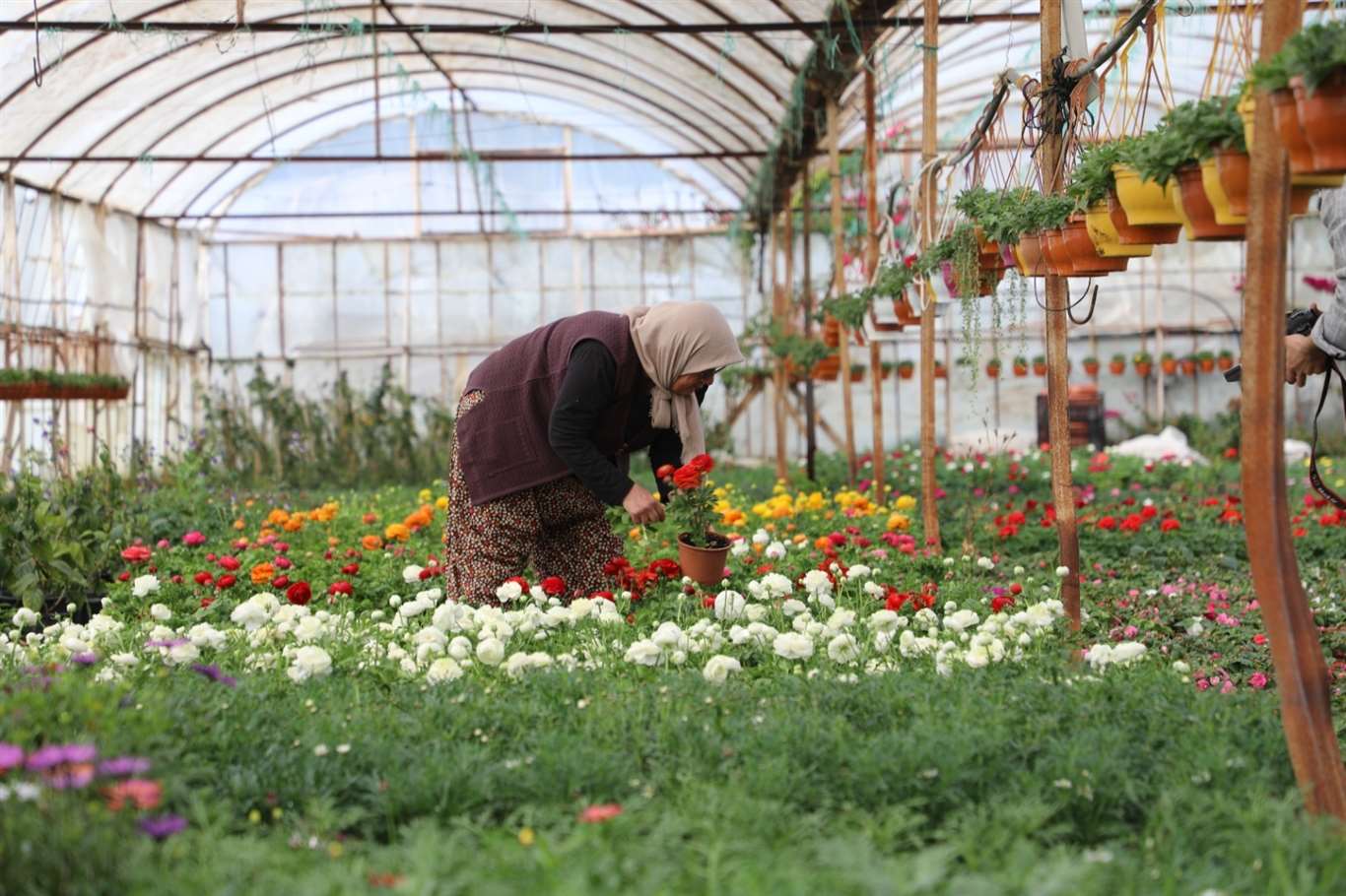 Üretici Kadınlar ve Çiftçi Kadın Meclisi kuruluyor: İlk adım Ortaca'da atıldı haberi