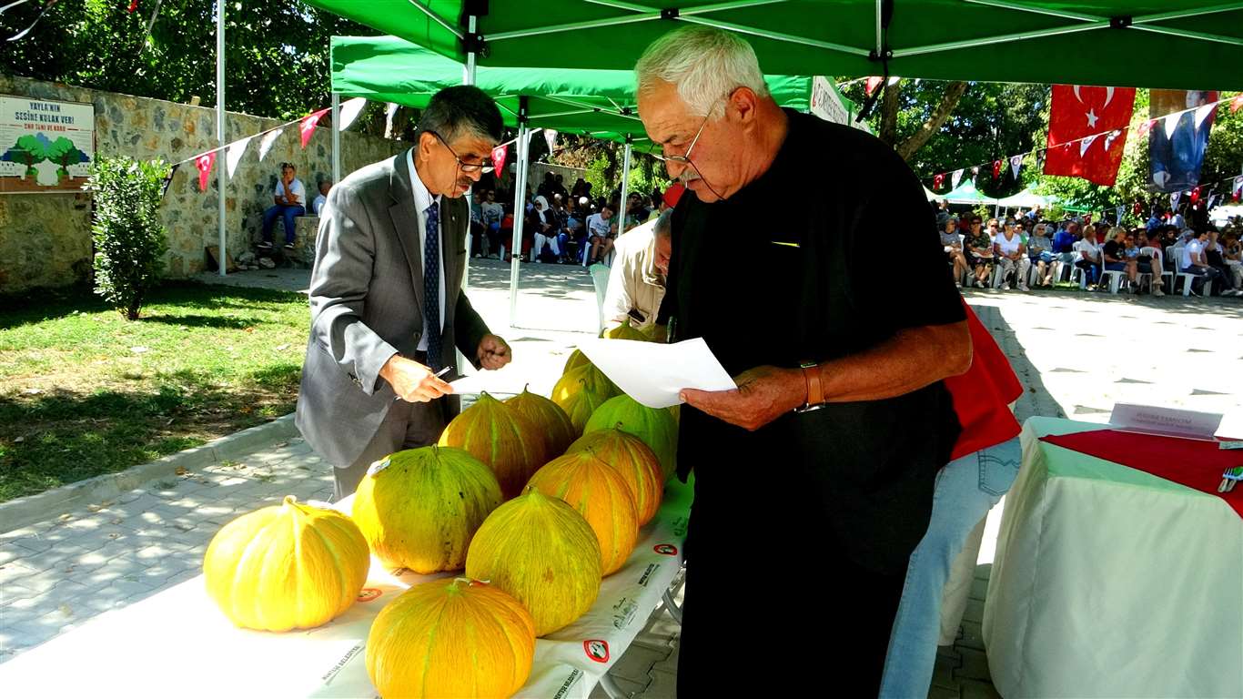 Uluslararası 32. Muğla Kültür ve Sanat Şenliği başlıyor haberi