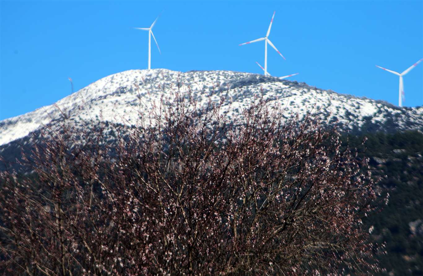    Muğla'da kış ve bahar aynı karede haberi
