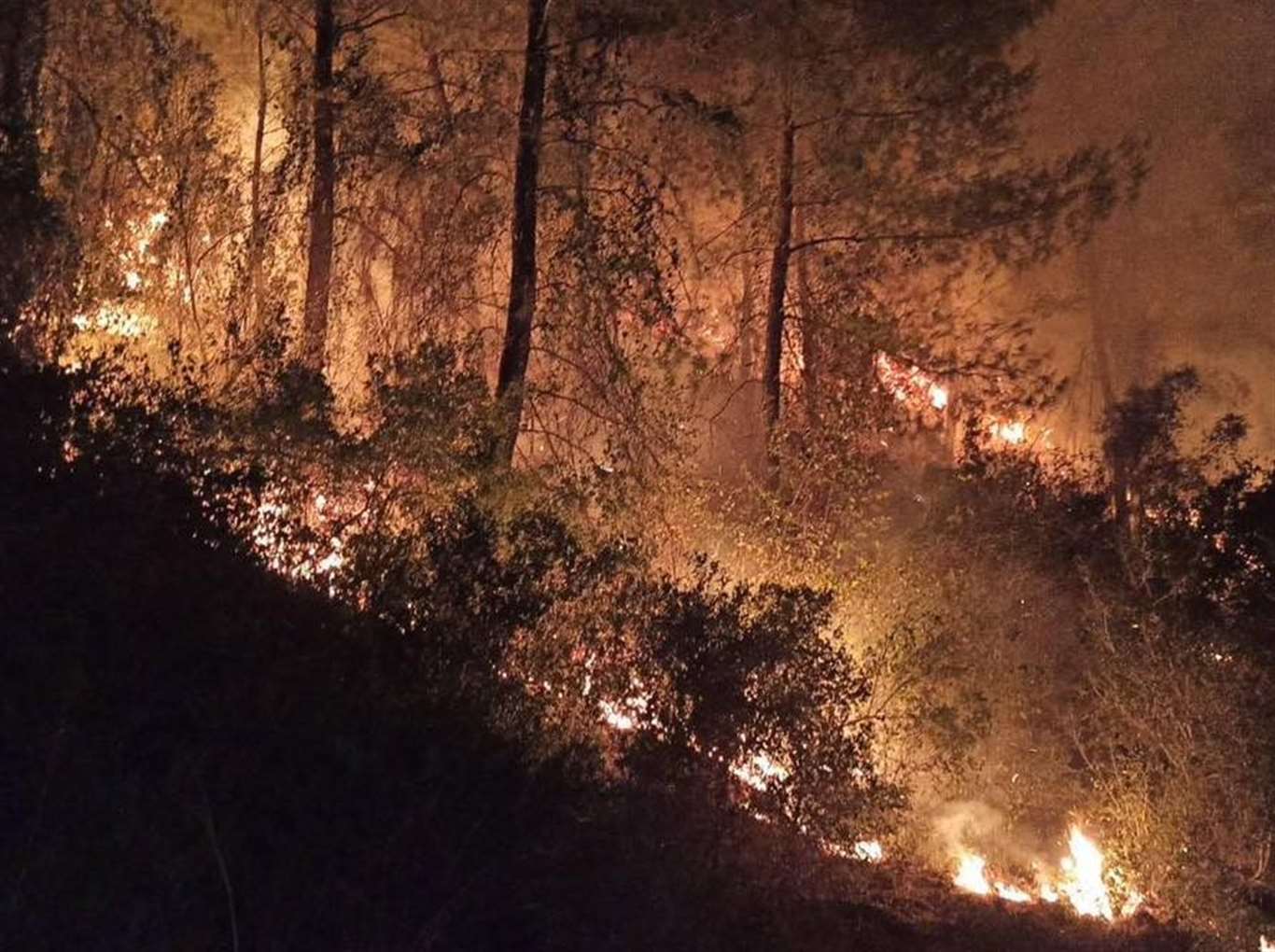  Ortaca'daki orman yangını kısmen kontrol altına alındı haberi