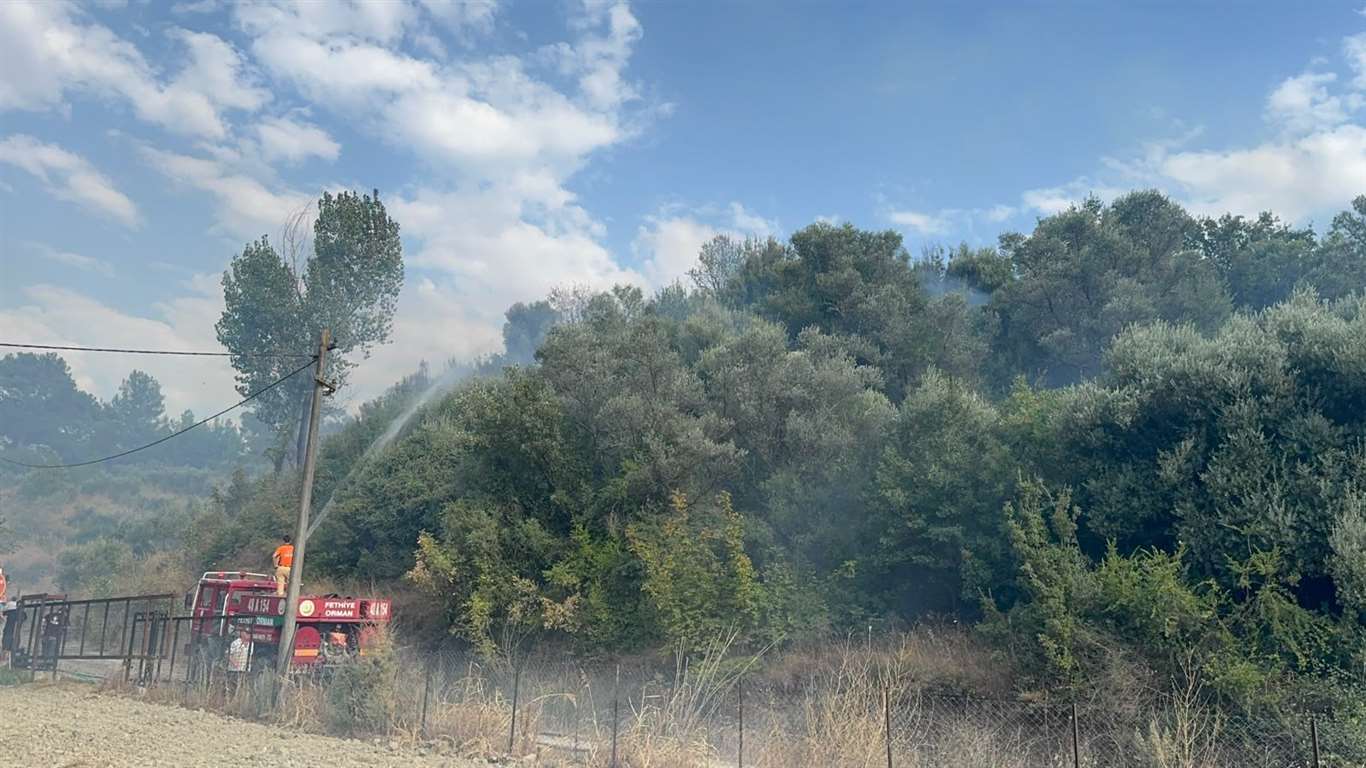 Seydikemer’de orman yangını kontrol altına alındı haberi