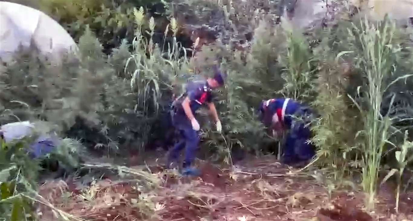 Köyceğiz uyuşturucu operasyonunda 2 tutuklama haberi