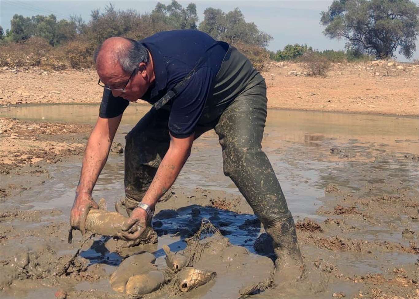    Kuruyan gölette balık kurtarma operasyonu haberi