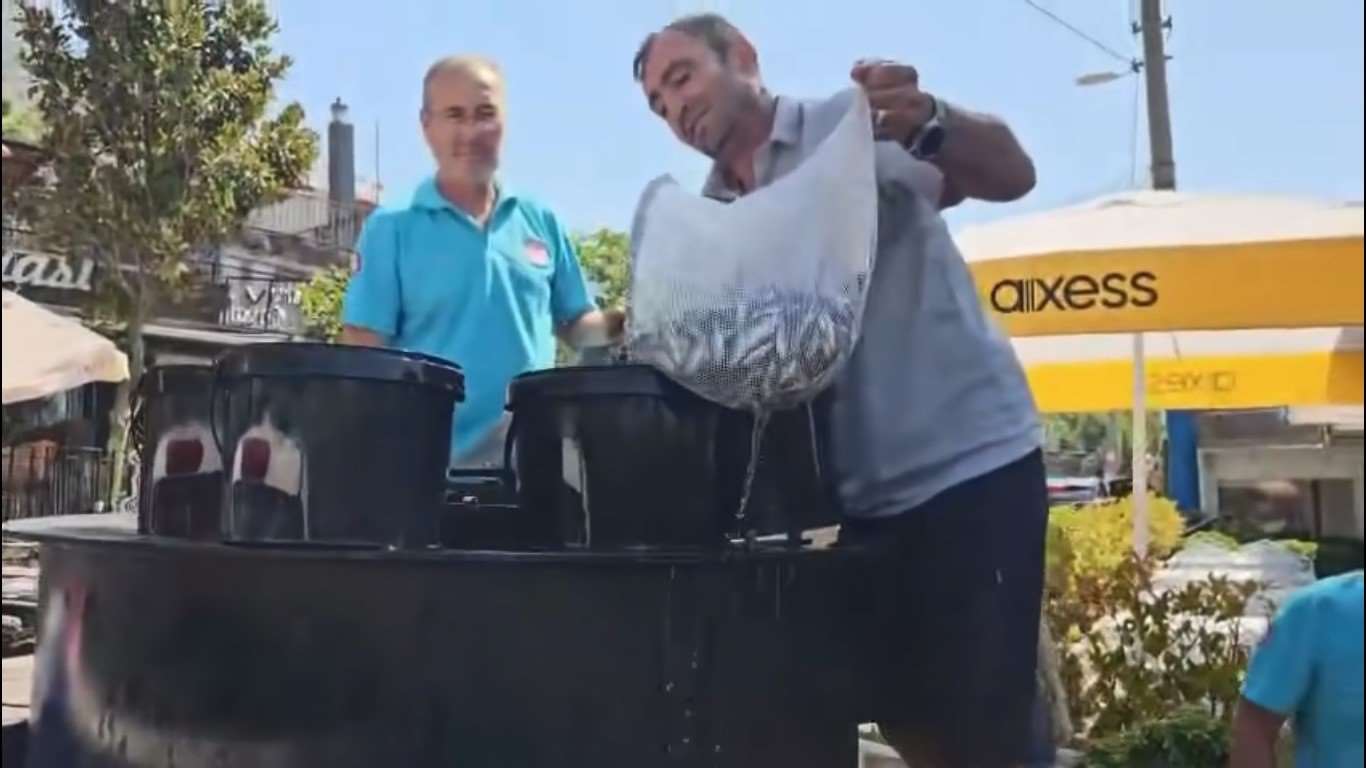 Muğla'da Kadın Azmağı'na 35 bin levrek yavrusu bırakıldı haberi