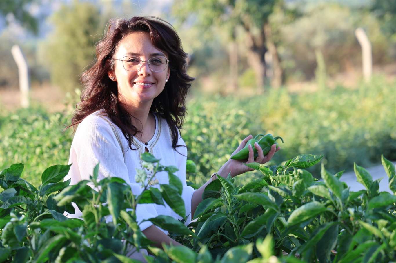 Menteşe'de ihtiyaç sahiplerine 1 ton sebze dağıtıldı haberi