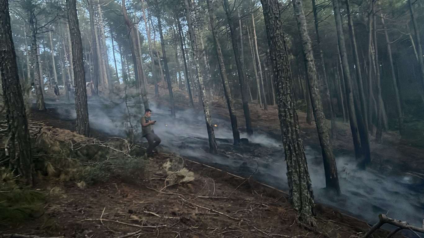 Menteşe'de ormanlık alanda çıkan yangın büyümeden söndürüldü haberi