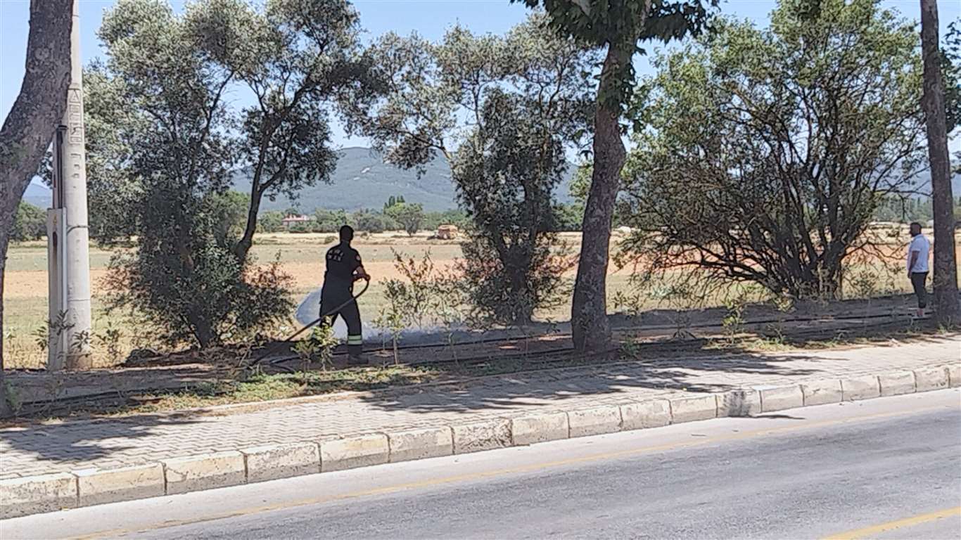 Muğla'da peş peşe yangınlar: Valilik uyarmıştı, ekipler alarma geçti haberi