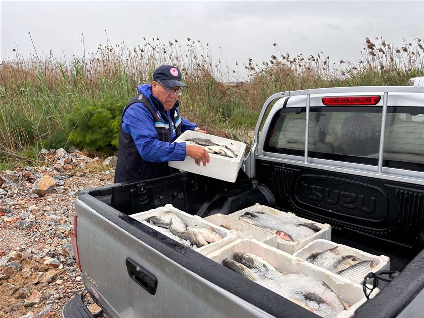    Milas'ta kaçak avcılığa geçit yok: 80 kilo kefal balığına el konuldu haberi