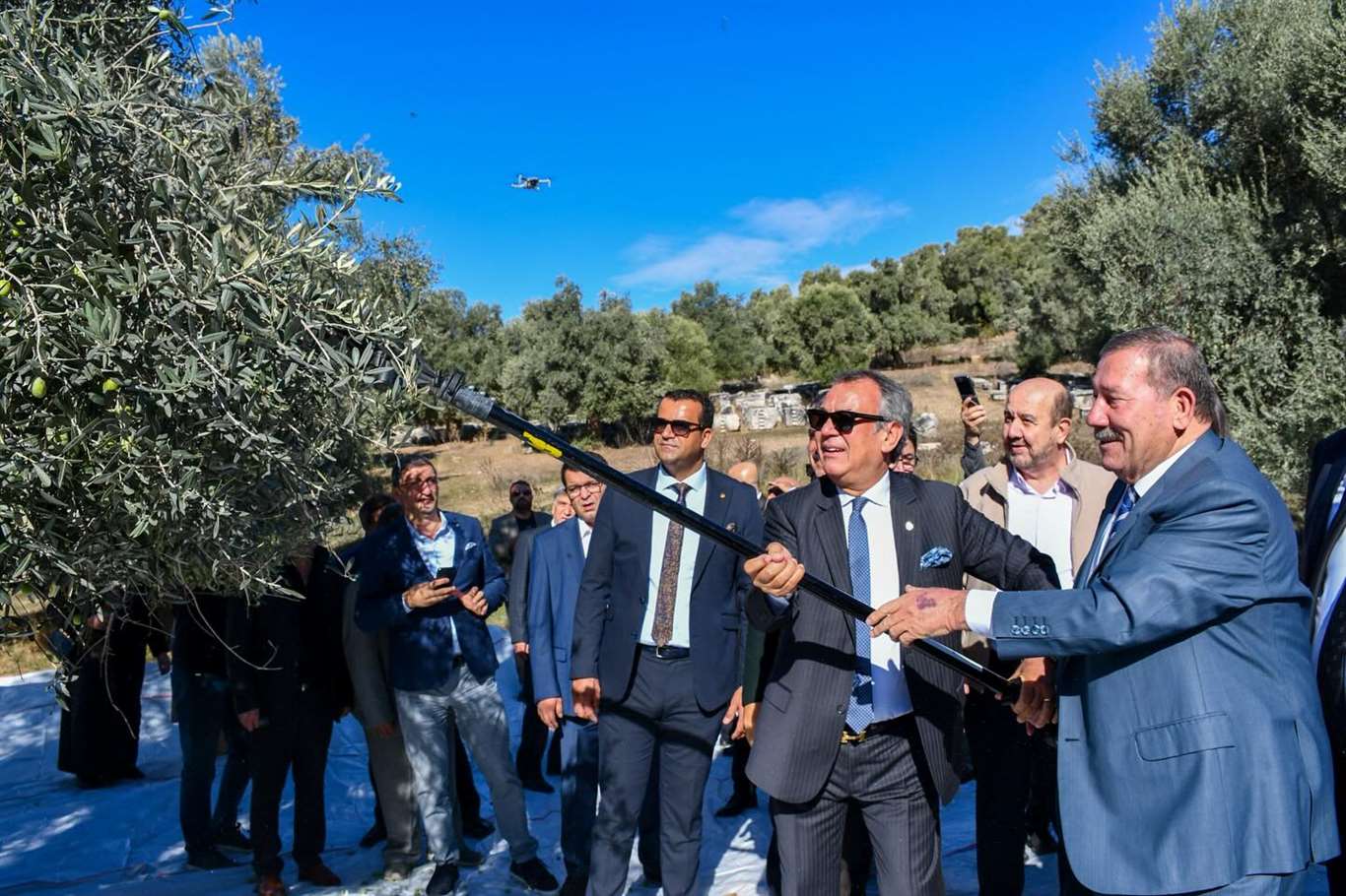 Milas Zeytin Hasat Şenliği coşkuyla tamamlandı haberi