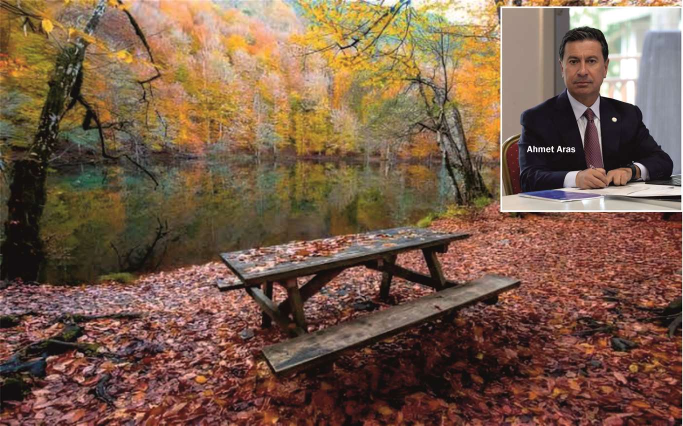 Başkan Aras'tan Milli Parklar Kanunu açıklaması: 