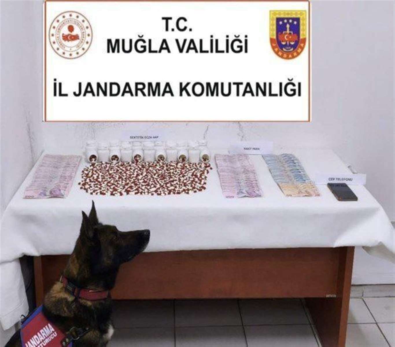 Muğla'da 1268 uyuşturucu hap ele geçirildi haberi