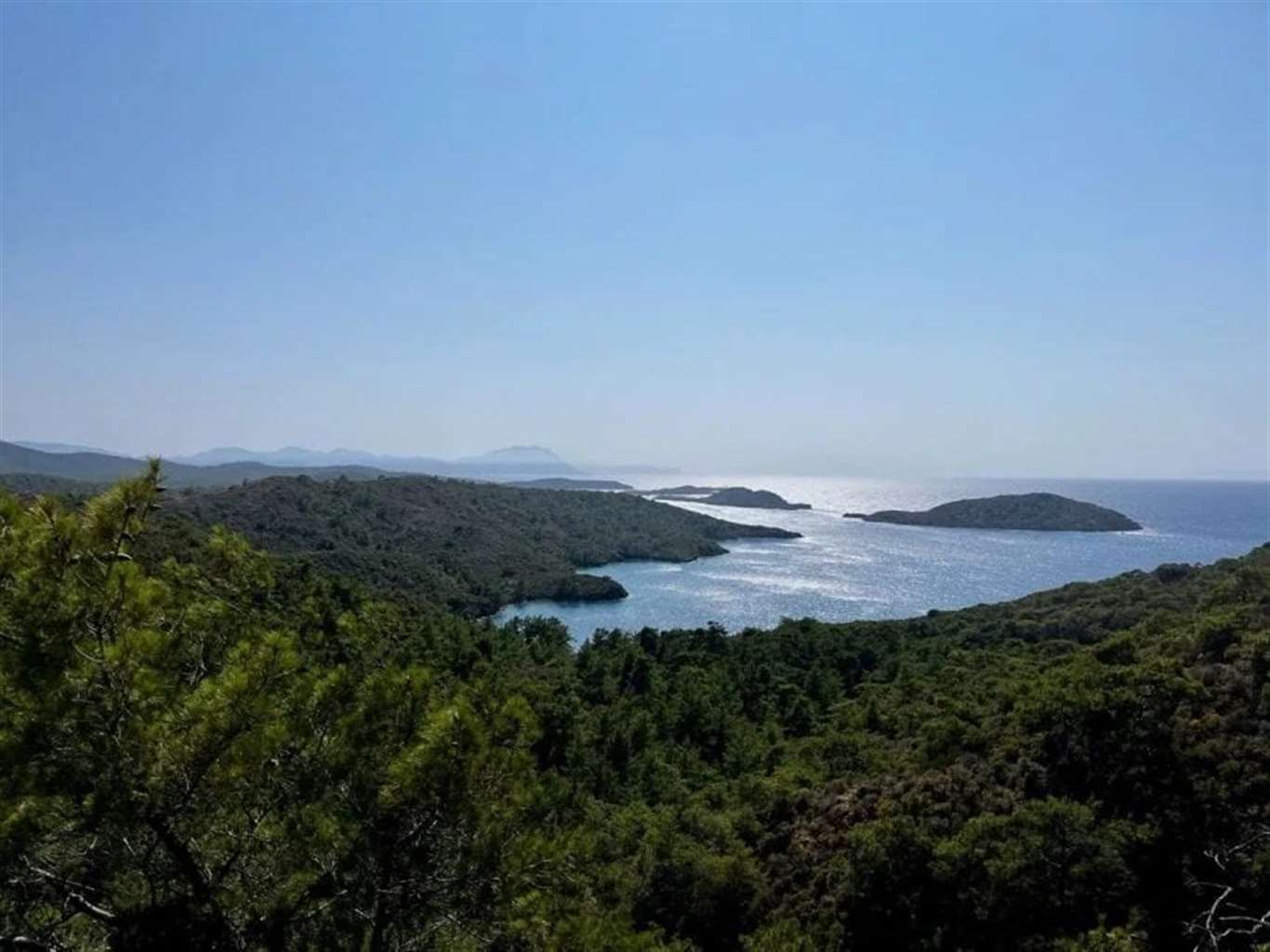 Muğla'da 45 bin 819 metrekare alan orman sınırları dışına çıkarıldı haberi