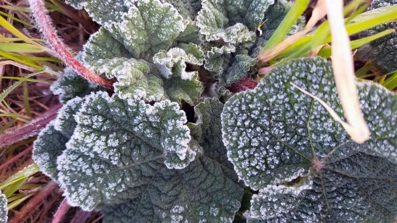 Muğla 5 gün soğuk havanın etkisinde olacak haberi