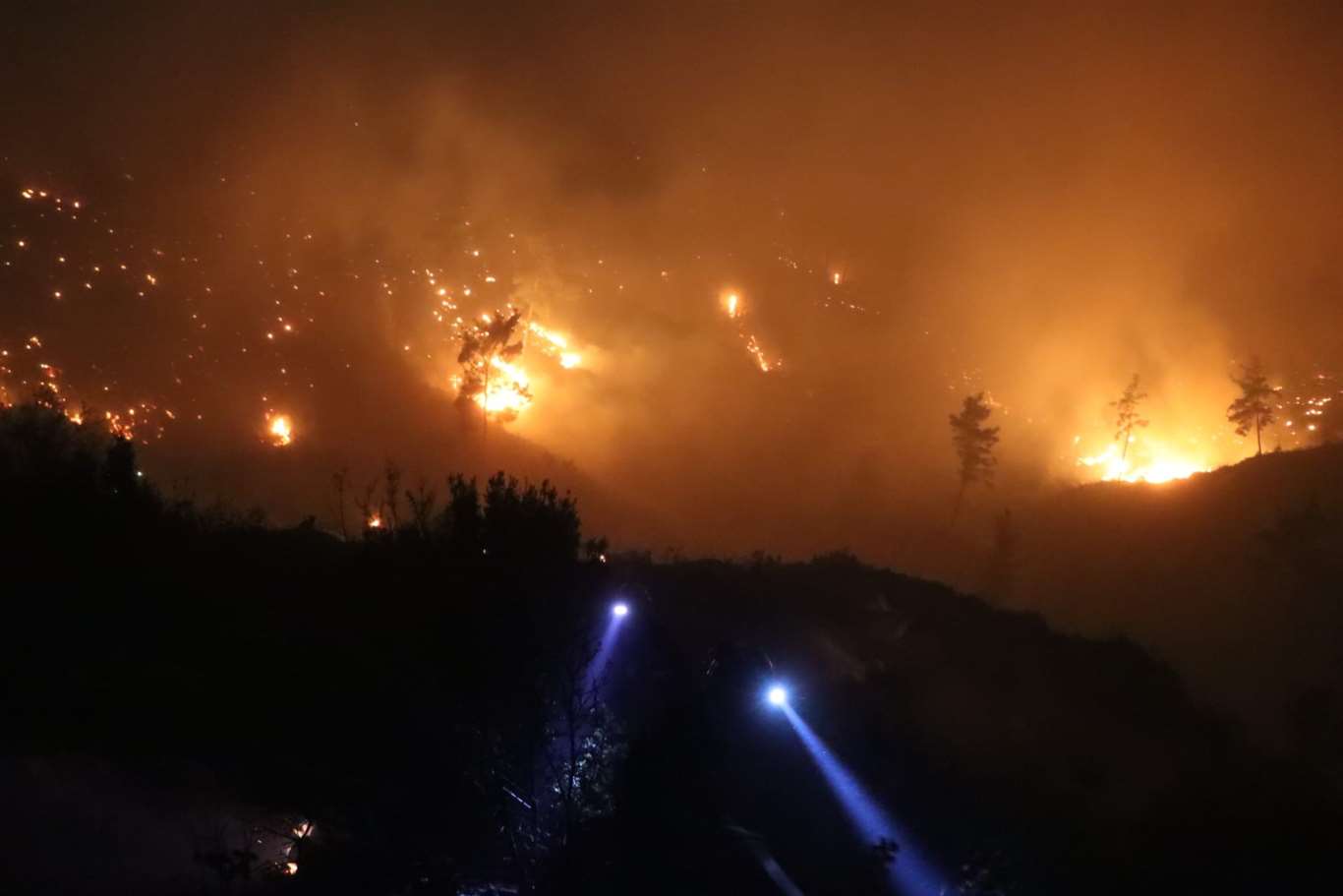 Muğla yanıyor... Ortaca ve Dalaman'daki yangınların ardından bir yangın da Gökova'da başladı haberi