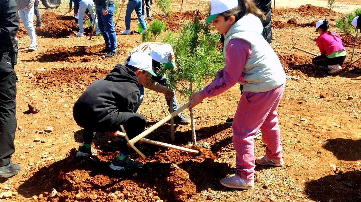 11 Kasım'da, 11 ilçede, saat 11.11'de binlerce fidan toprakla buluşacak haberi