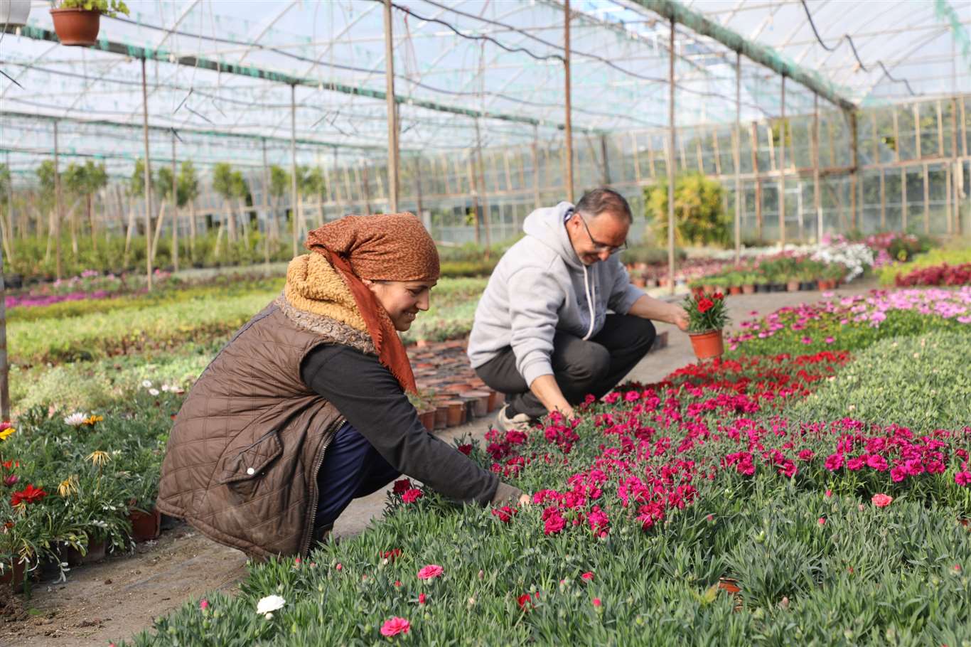 10 yılda 26 milyon süs bitkisi üretildi haberi