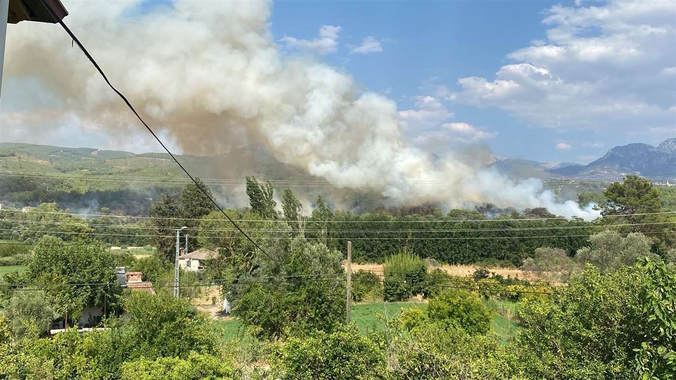 Seydikemer'de orman yangını haberi