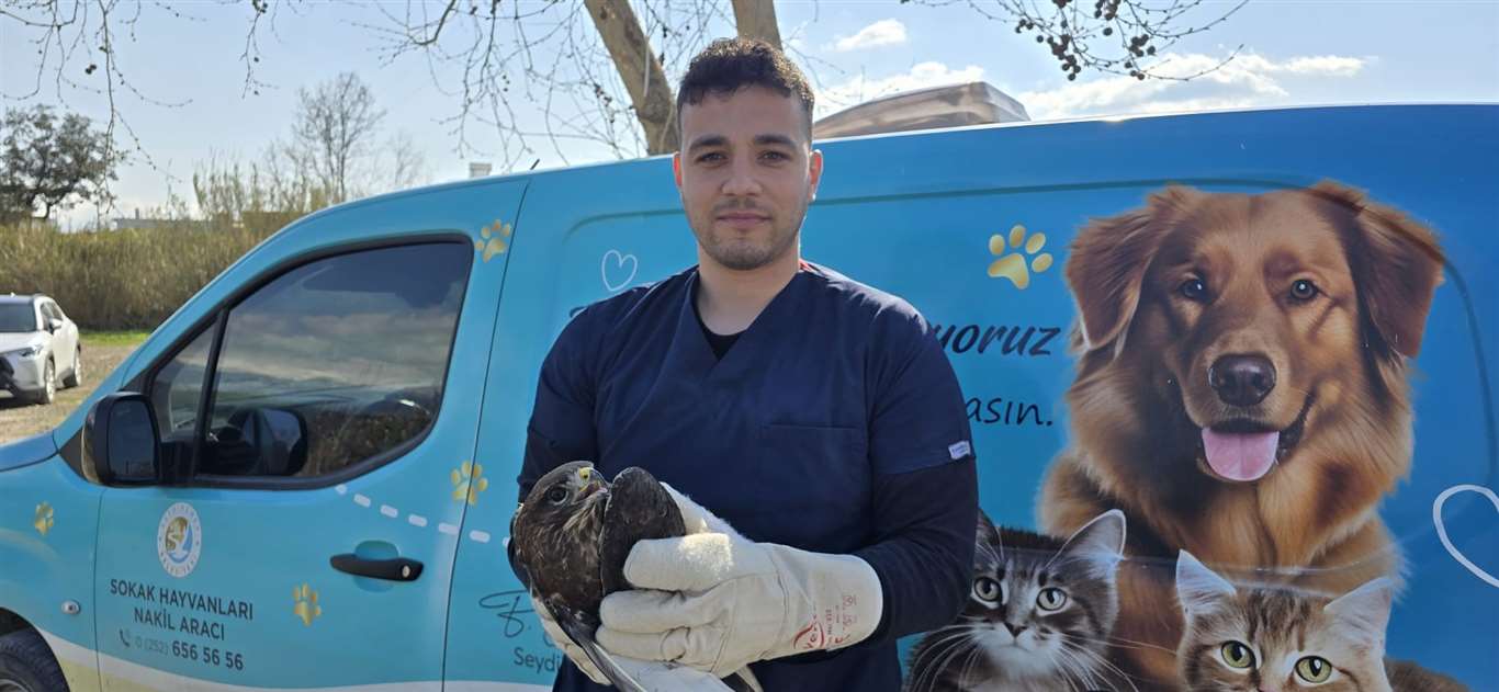 Seydikemer'de yaralı şahin tedavi altına alındı haberi