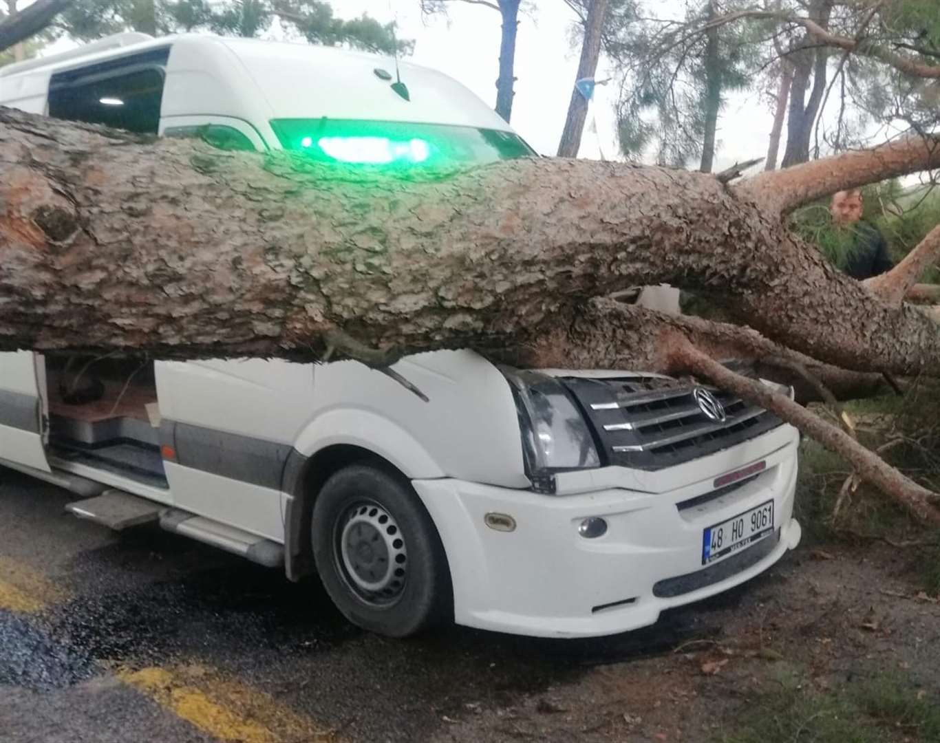 Seyir hâlindeki minibüsün üzerine ağaç devrildi haberi