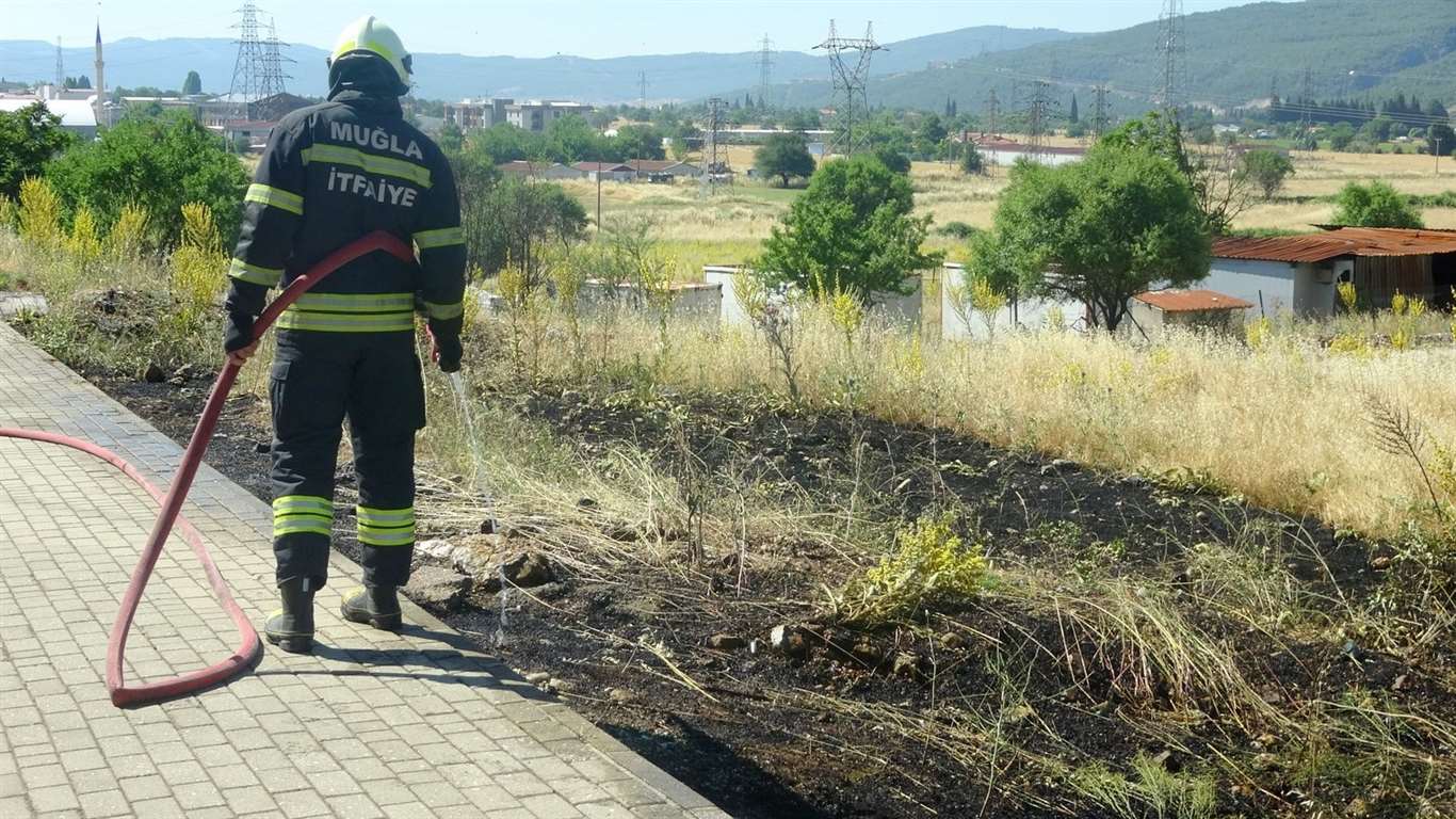    Menteşe'de sigara izmariti yangına neden oldu haberi