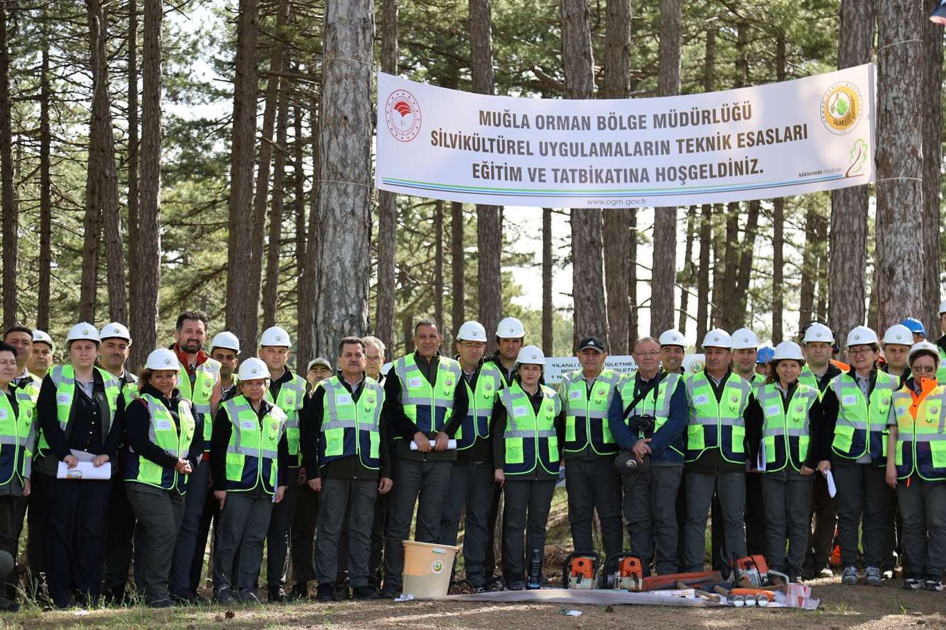Muğla OBM de silvikültür tatbikatları tamamlandı haberi