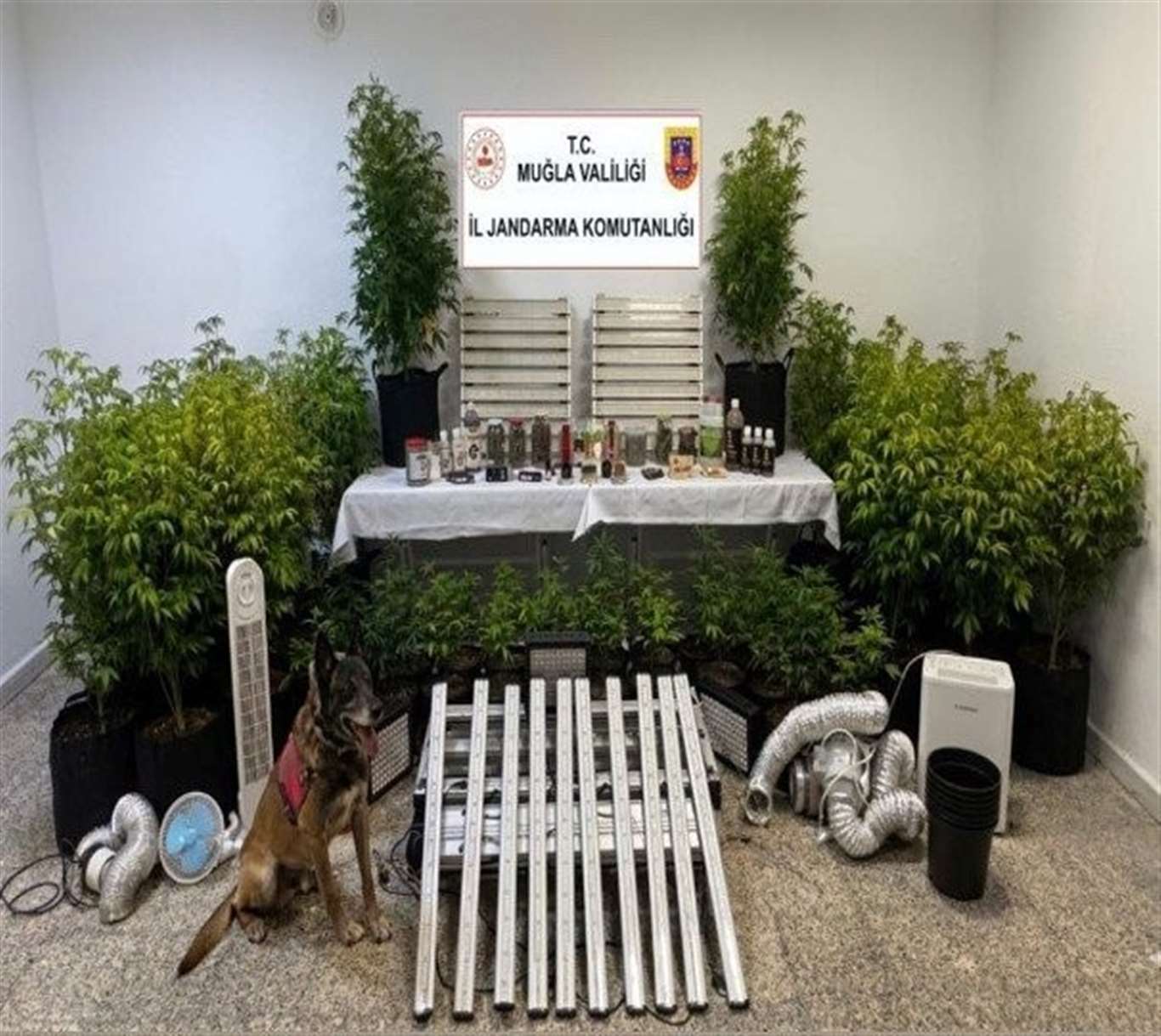       Muğla'da 15. yüzyıla ait Tevrat ele geçirildi haberi