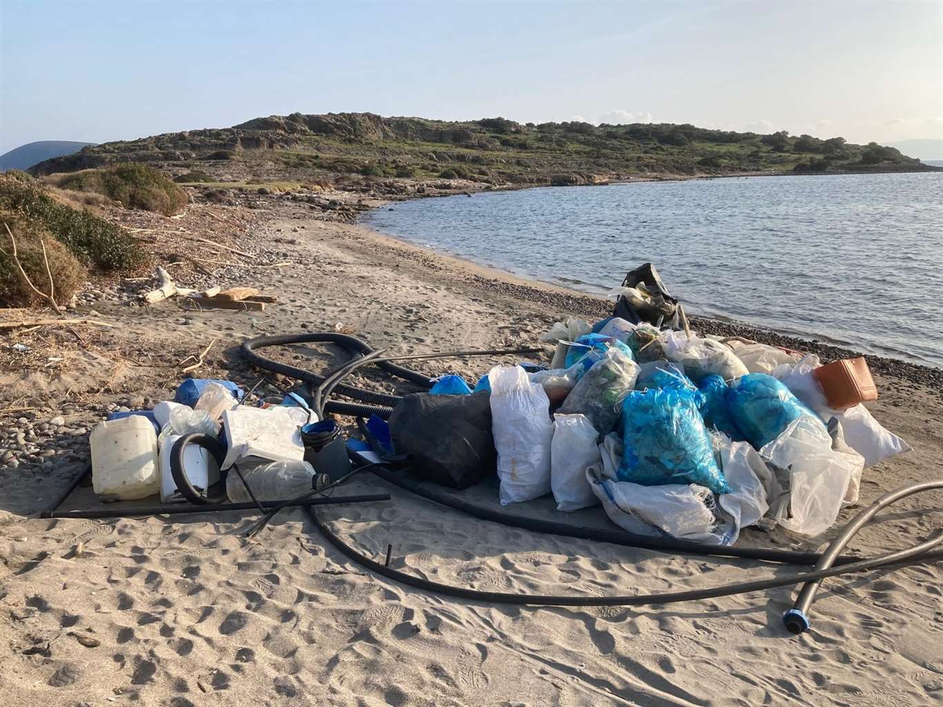 Tilkişen otu toplamaya gittiler, koyu temizlediler haberi