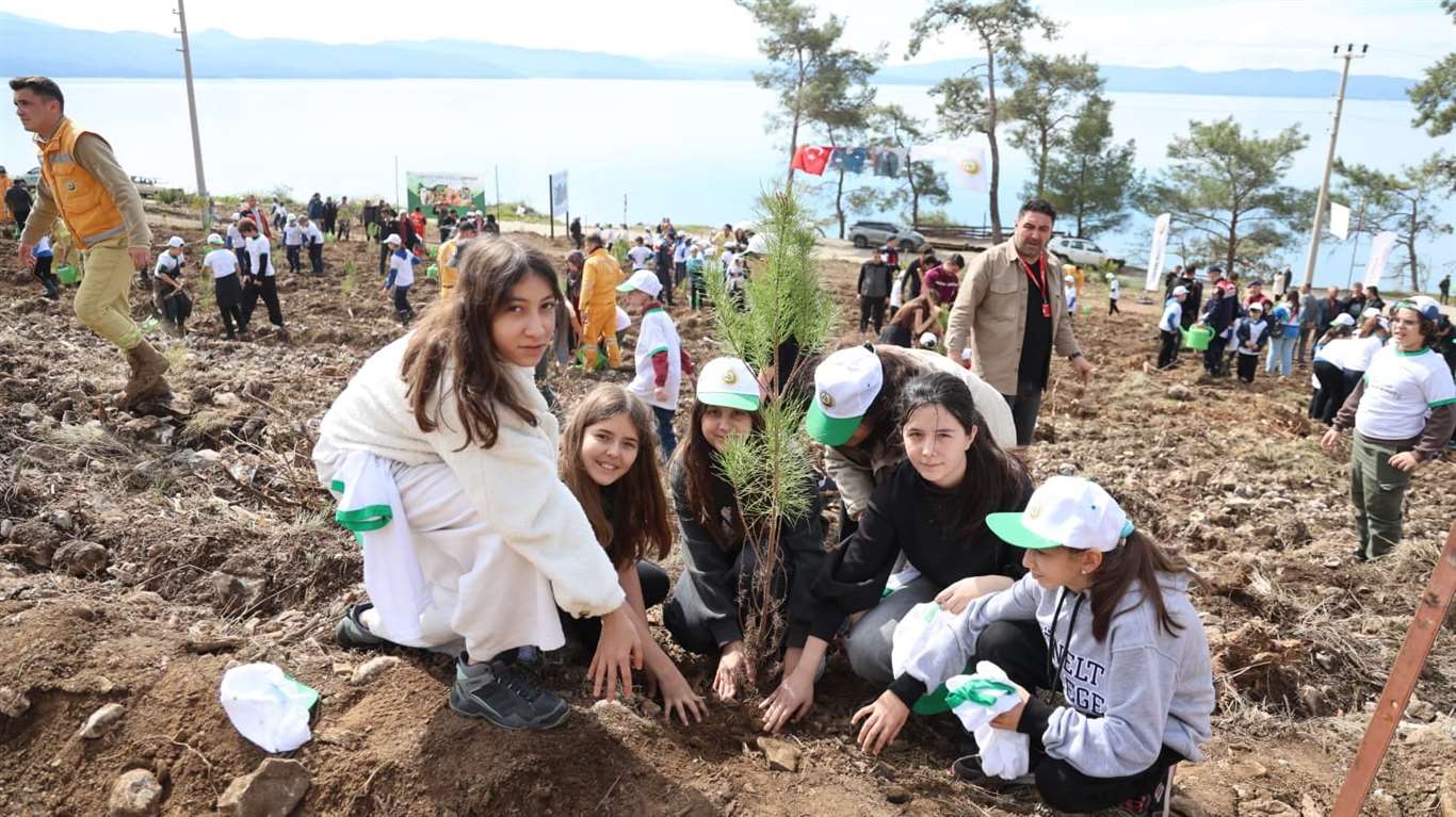 Turnalı'da yangın alanı yeşillendirildi haberi