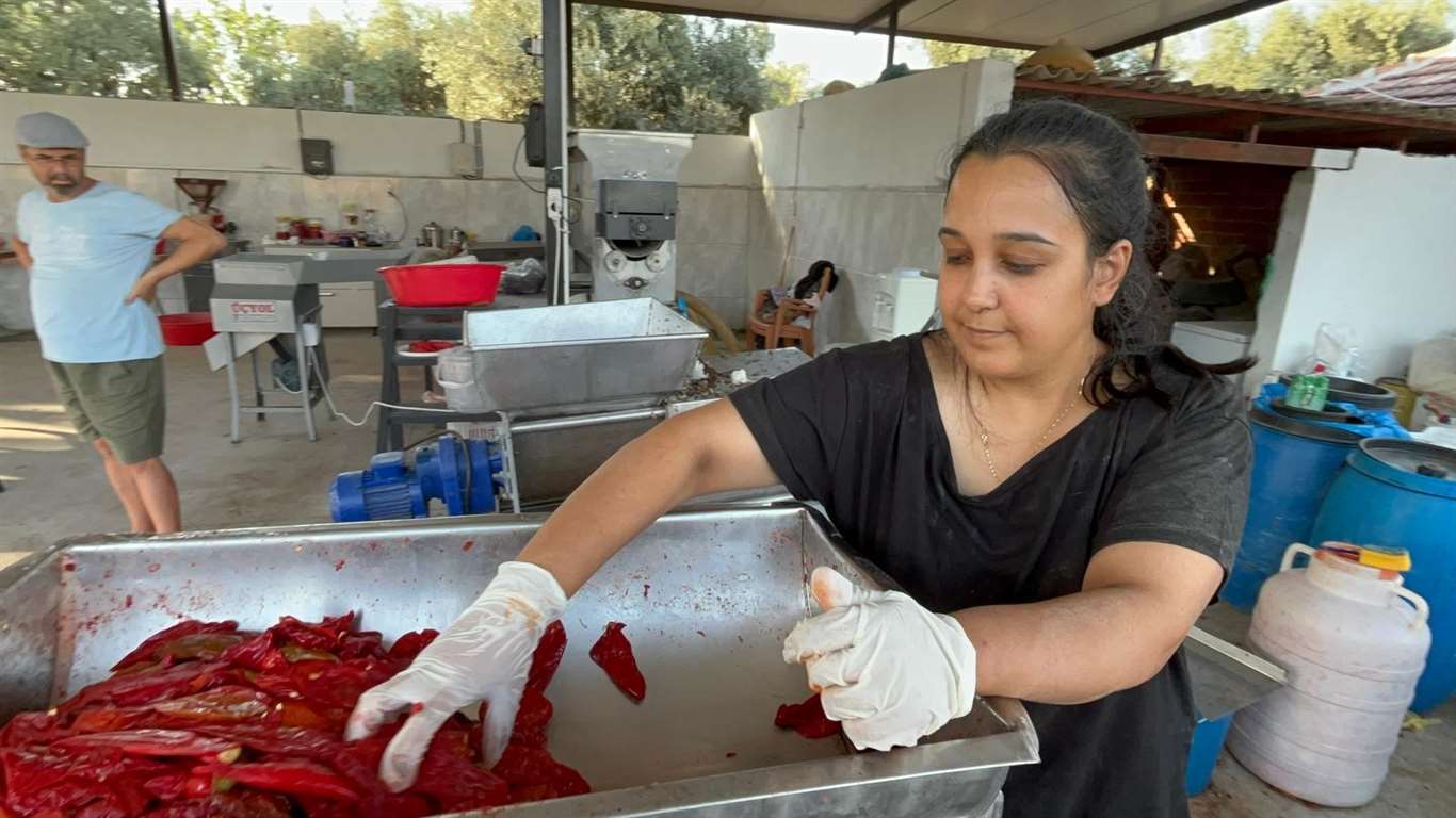 Üniversite mezunu genç kadın, köyünde üretim merkezi kurdu haberi