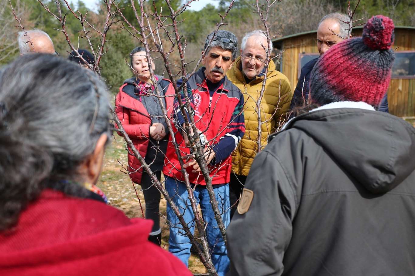 Muğla'da üreticilere meyve ağaçlarında budama eğitimi verildi haberi