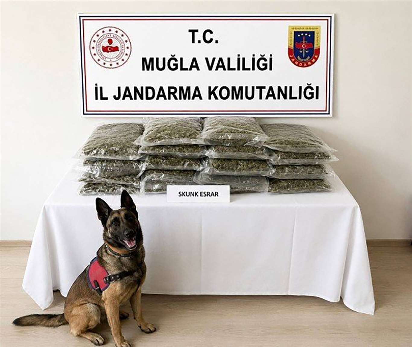    Uyuşturucu operasyonlarında 9 kişi tutuklandı haberi
