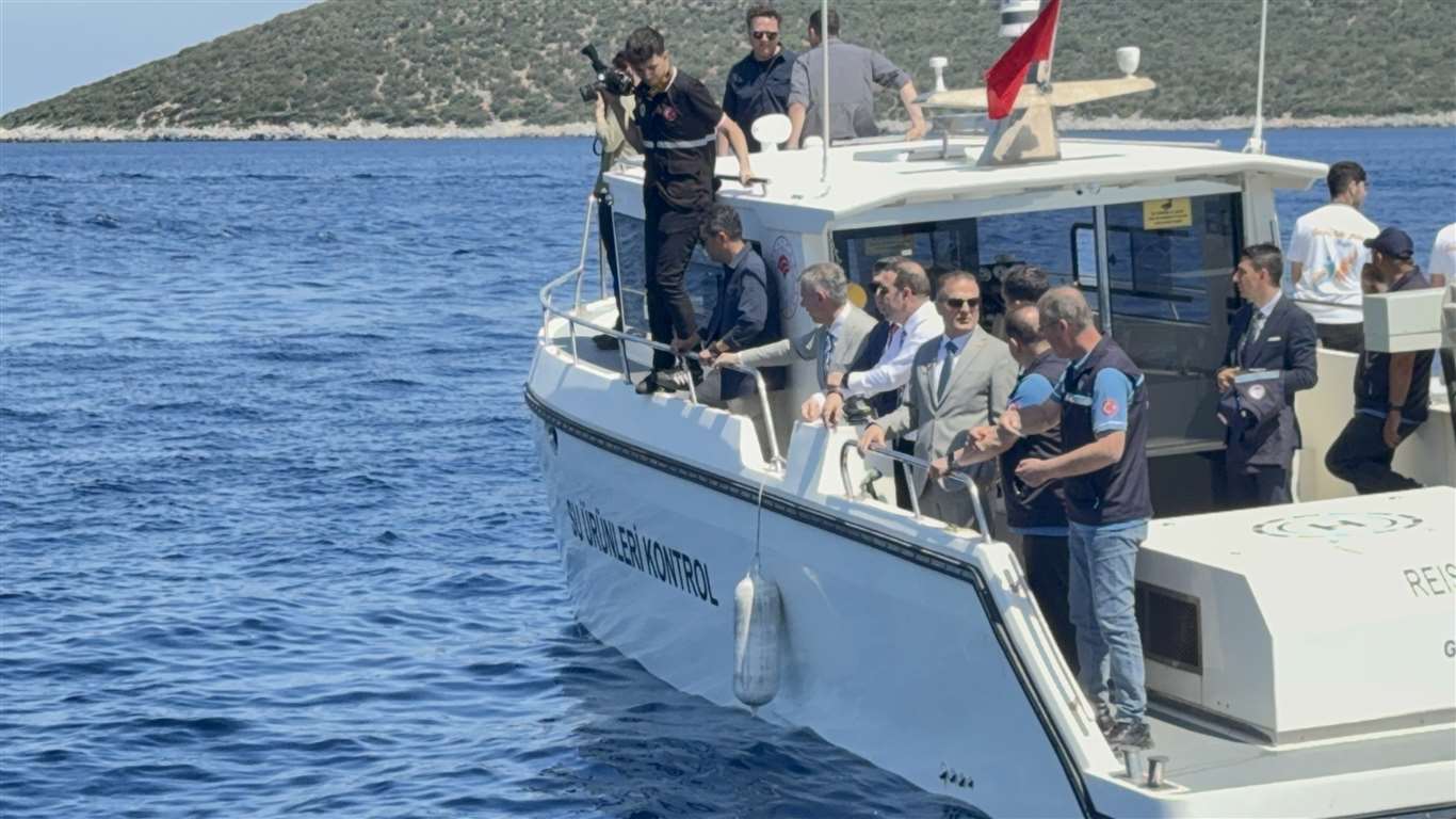 Muğla Valisi Akbıyık'ı denizde yunuslar karşıladı haberi