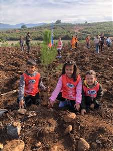 Muğla'da 20 bin fidan toprakla buluştu haberi