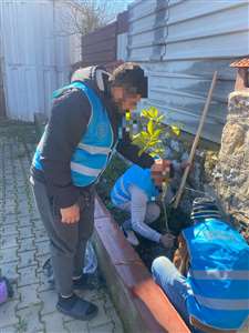       Muğla'da yükümlüler fidan dikti haberi