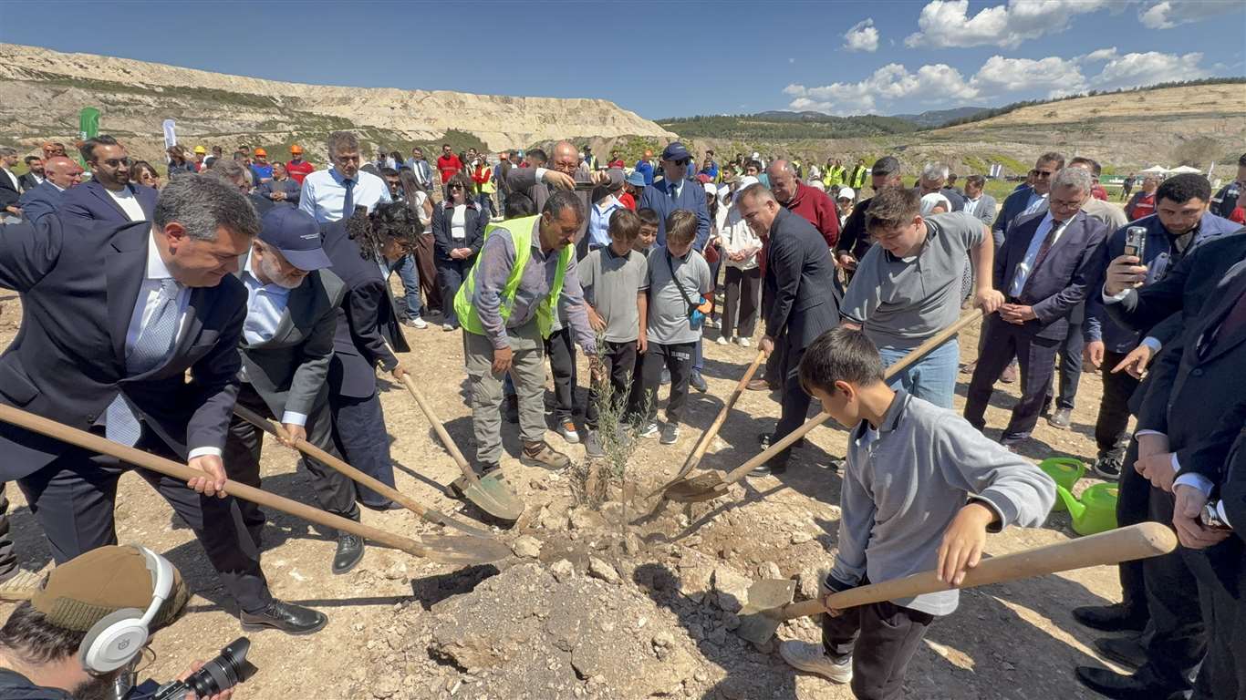    Hüsamlar'da rehabilitasyon: 250 bin fidan toprakla buluştu haberi