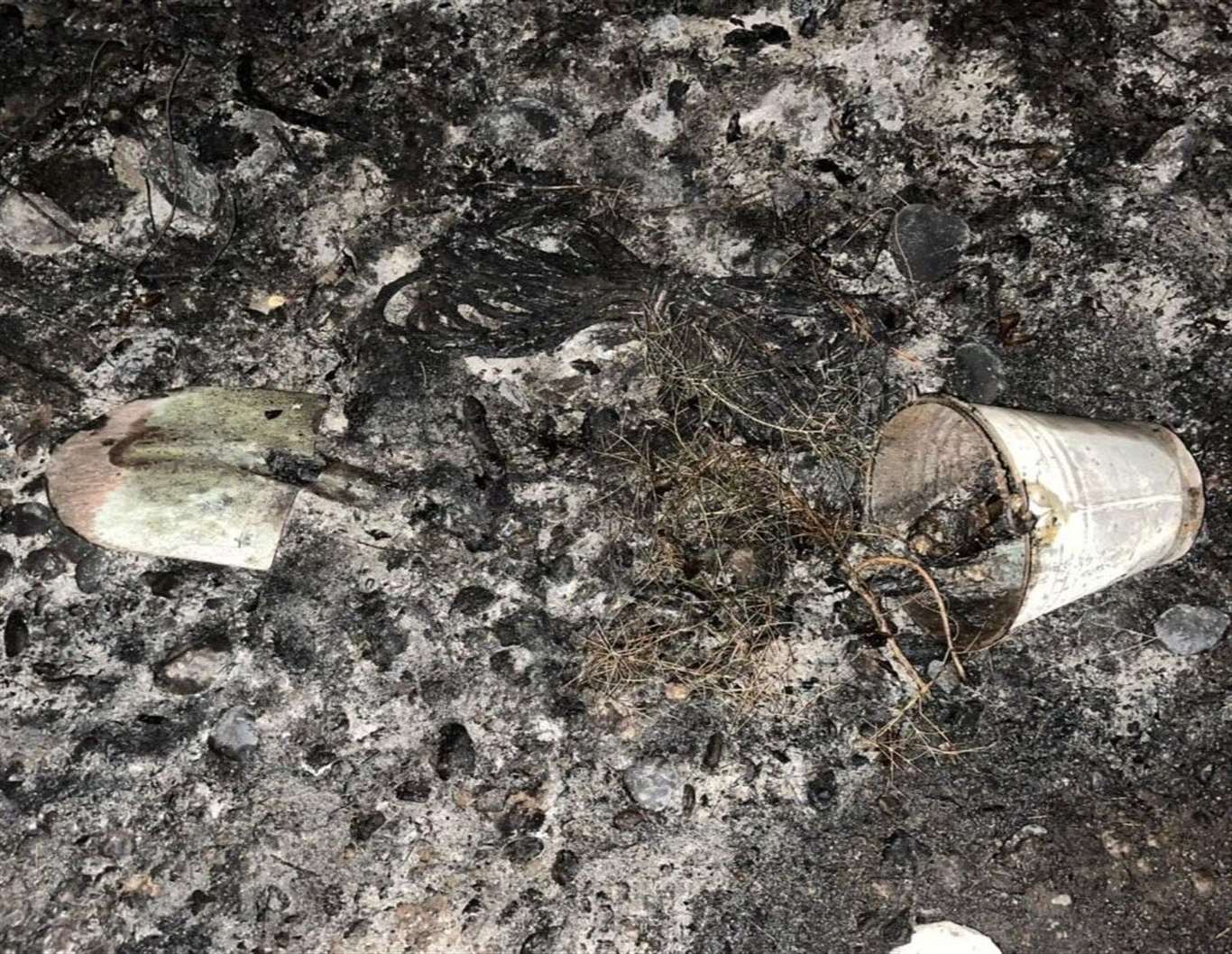 Zeytinköy'de orman yangını: Definecilerin çıkardığı iddia ediliyor haberi