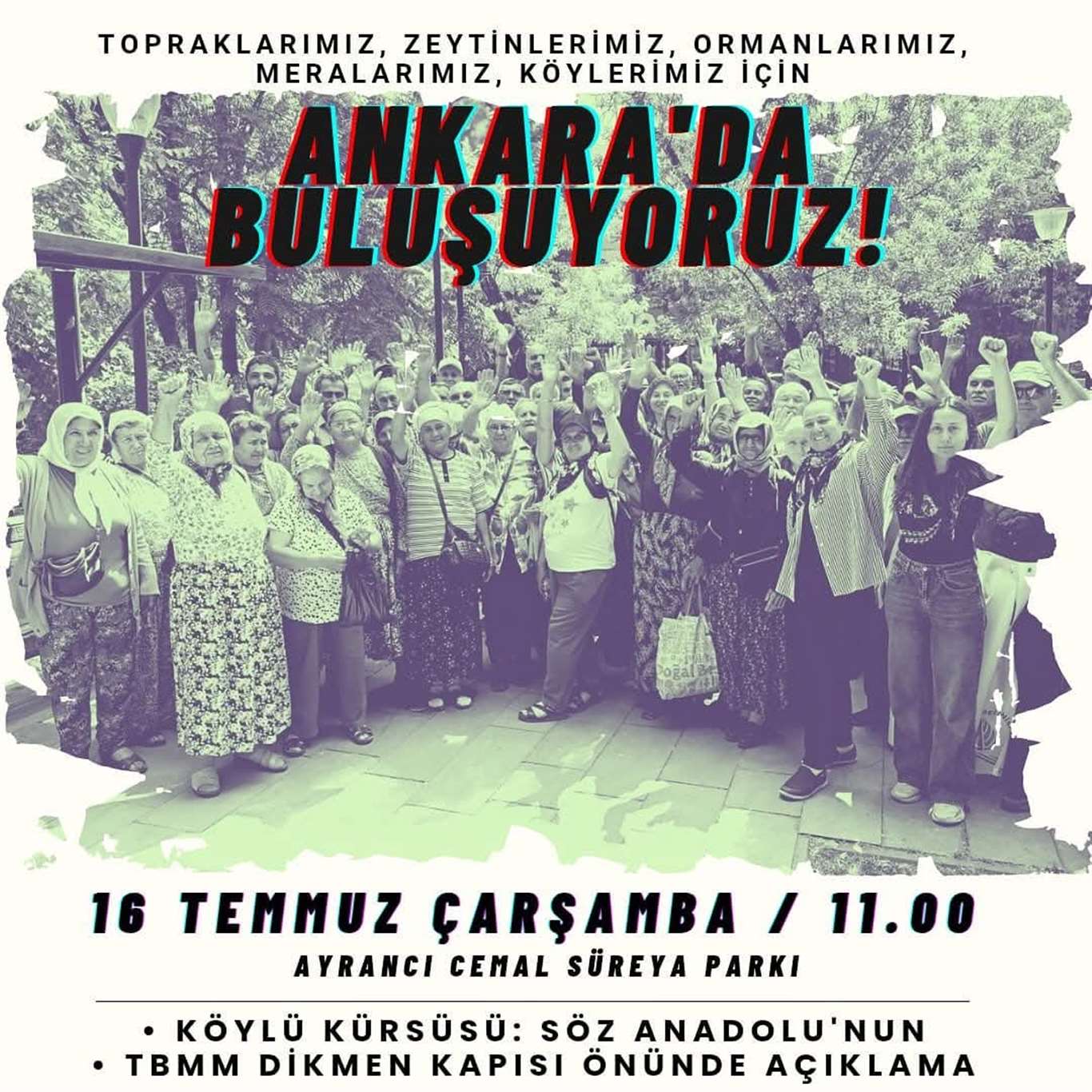 Zeytinlikler için Ankara'da nöbet ve buluşma çağrısı haberi