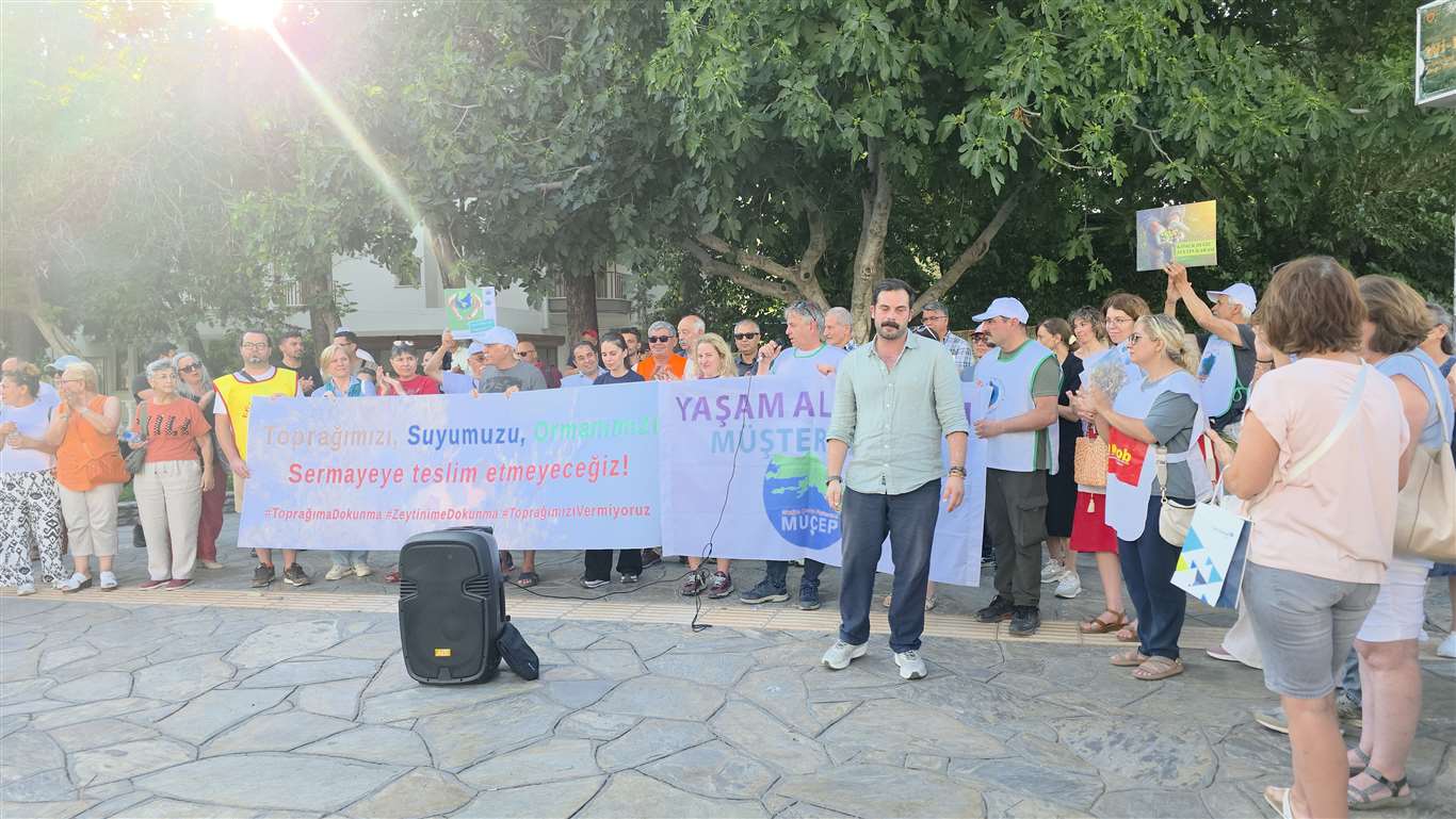Zeytinlikler rantın kıyısında: Sermaye yasası geri çekilsin! haberi